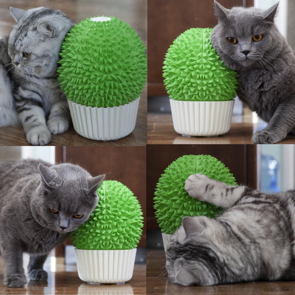 Miwoowim hierba gatera incluida, invita a la exploración y juego del felino.