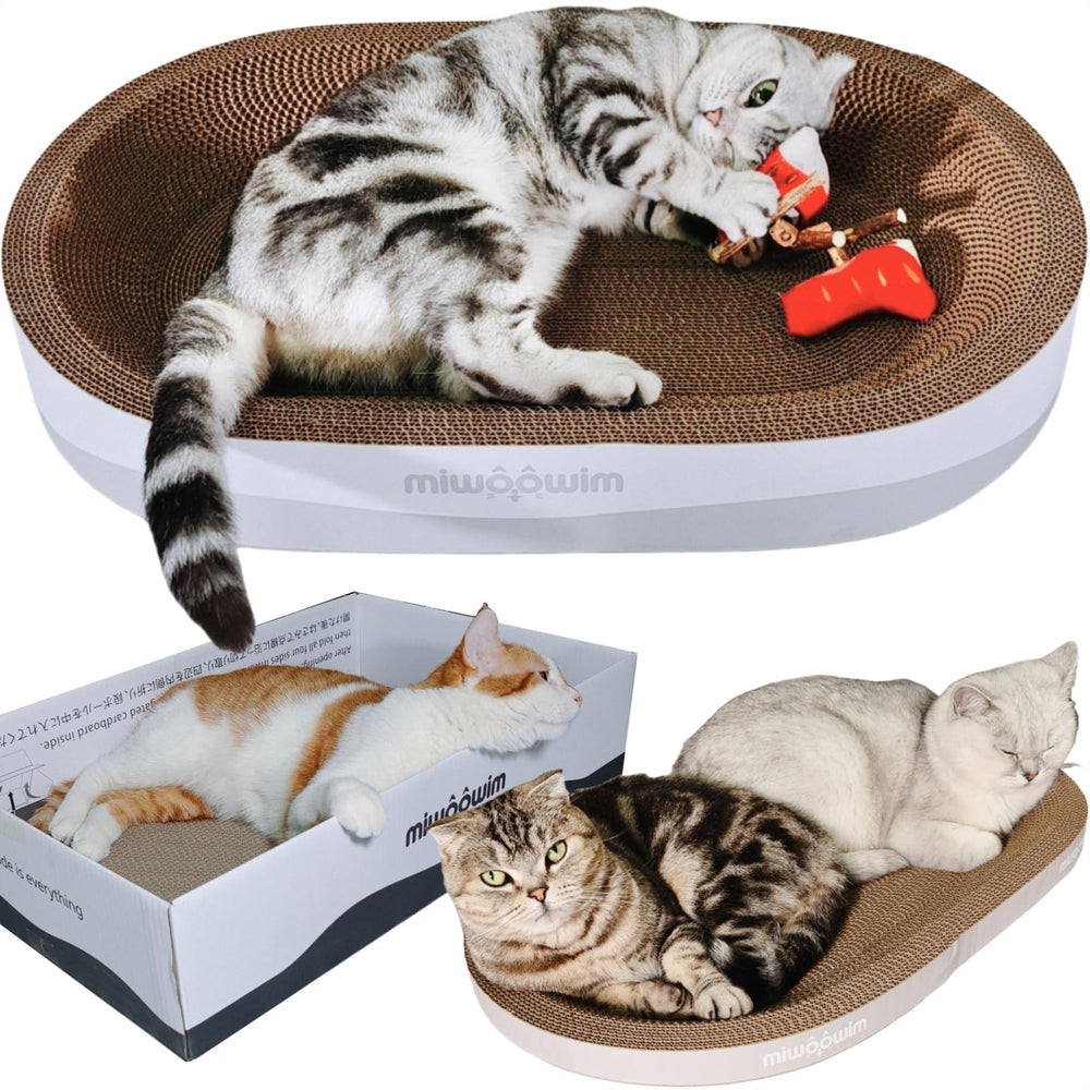 Miwoowim juguete pez con catnip, estimulante para juego activo y exploración