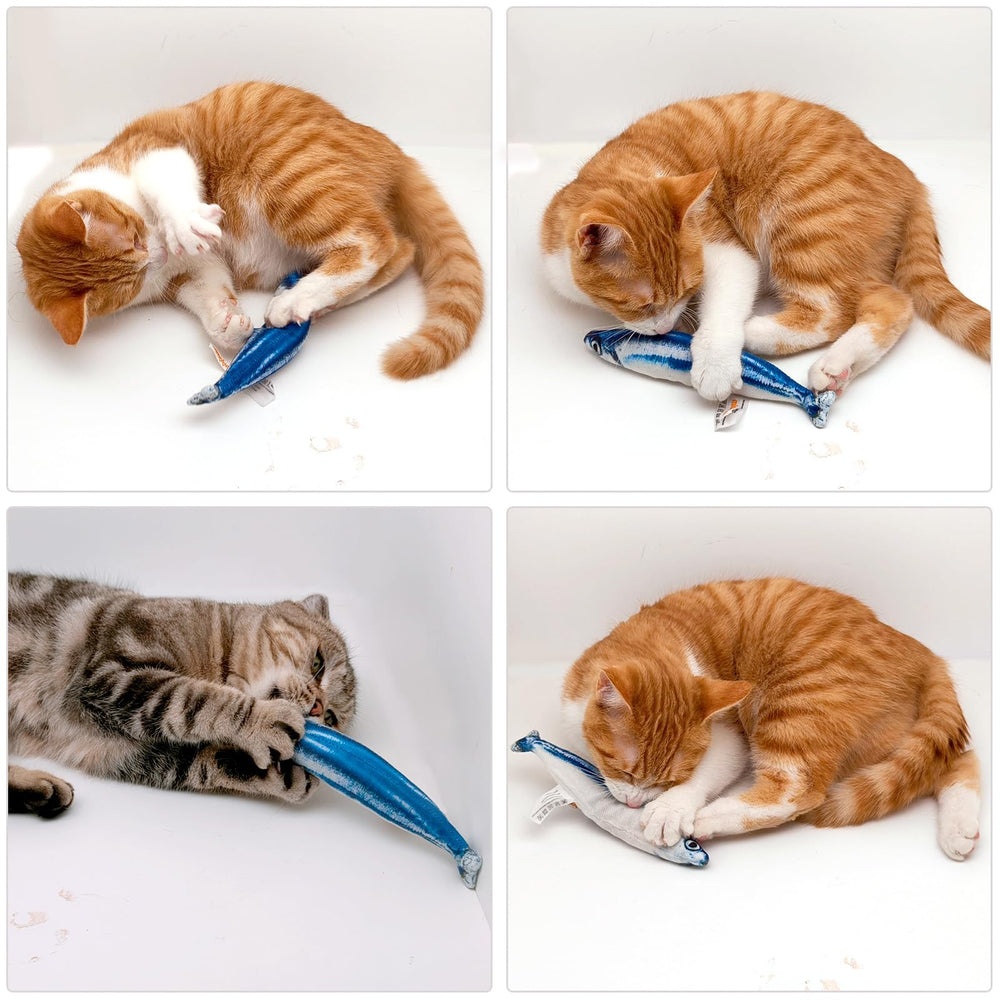 Miwoowim pez saurí: perfecto para casas con varios gatos.