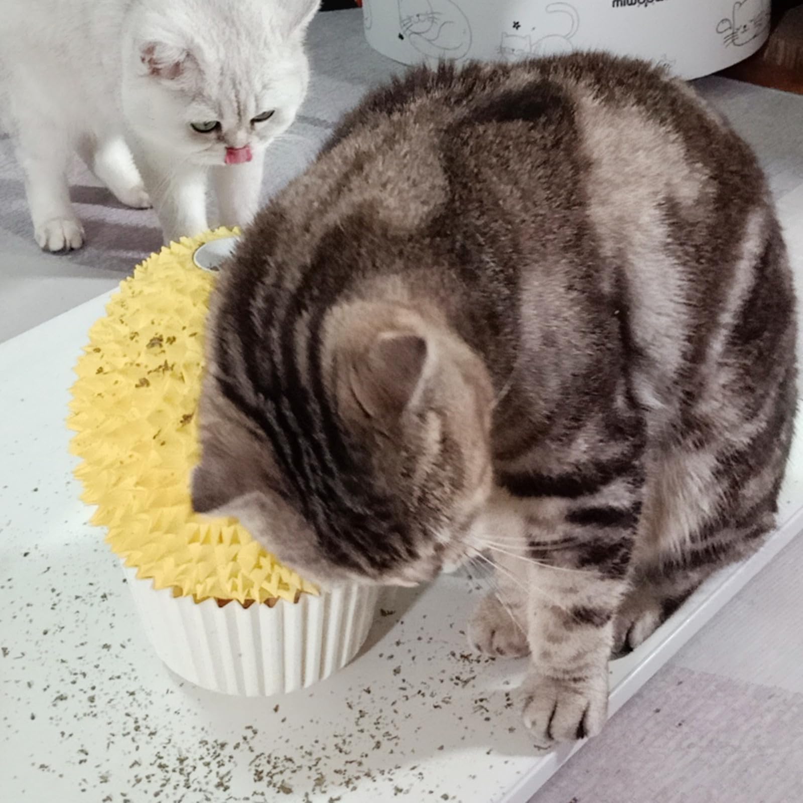 Miwoowim rascador facial para gatos brinda masaje suave y calma.