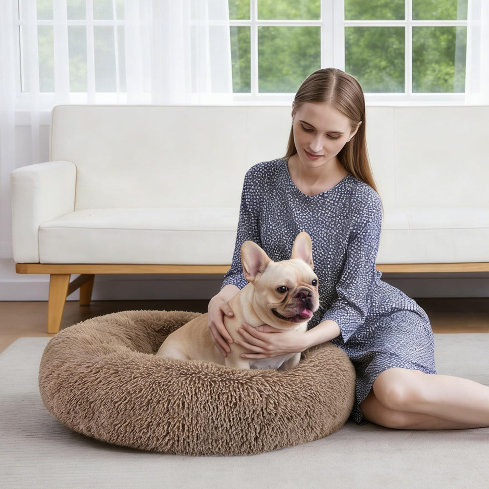 MIXJOY: ideal para perros que buscan sensación envolvente y seguridad