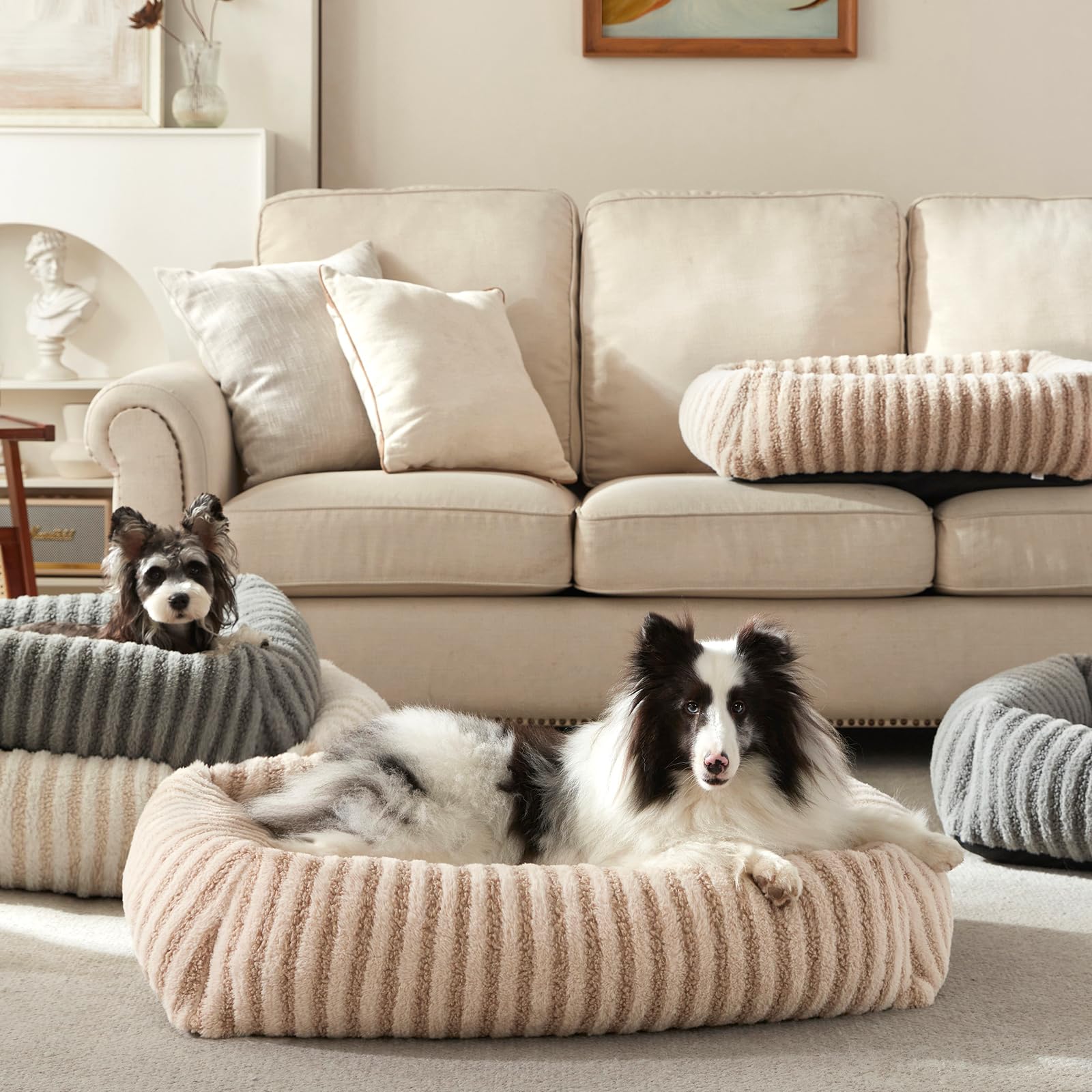 Uso diario MIXJOY, cama duradera para mascotas activas