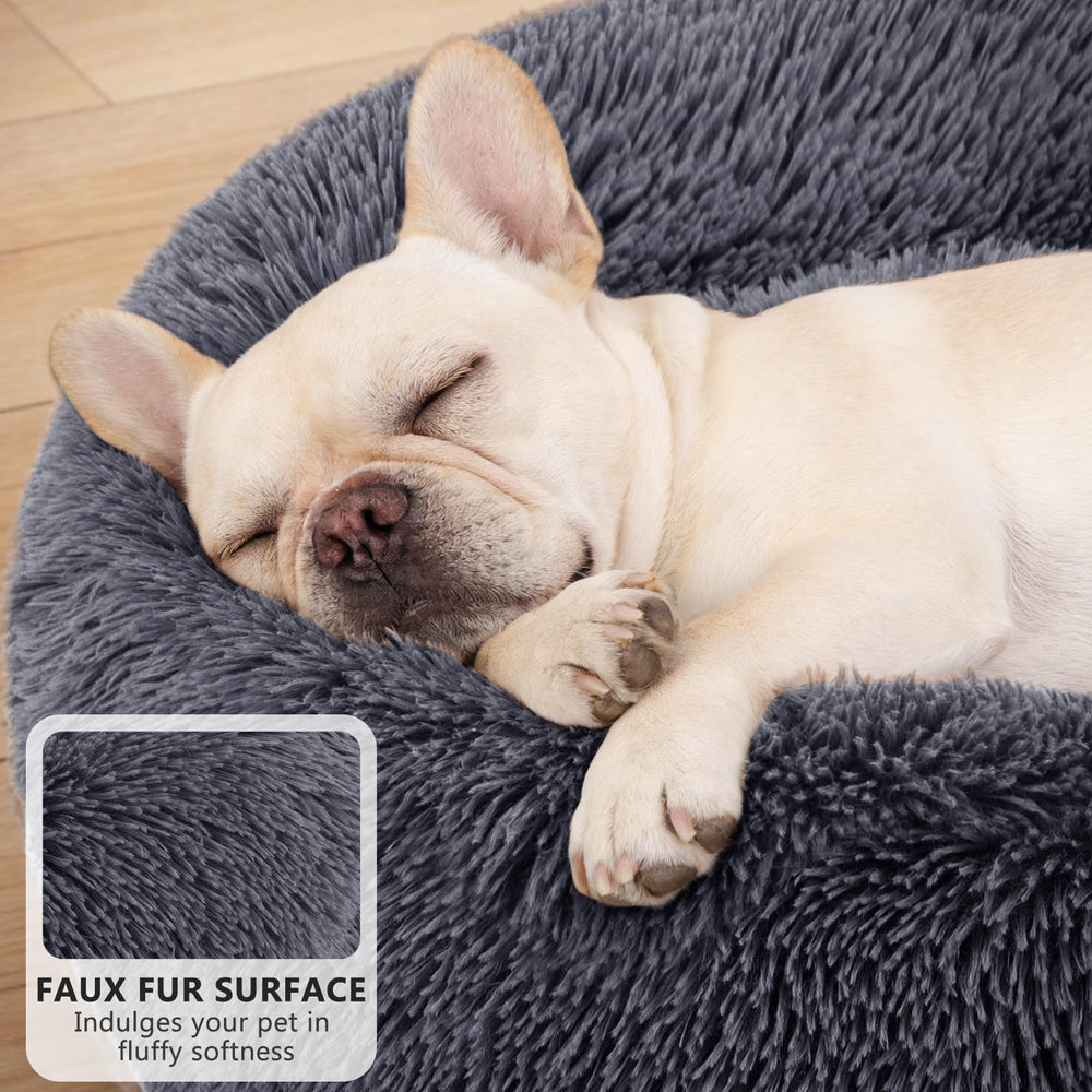 MIXJOY cama para perros con borde elevado, vista lateral, apoyo y seguridad.