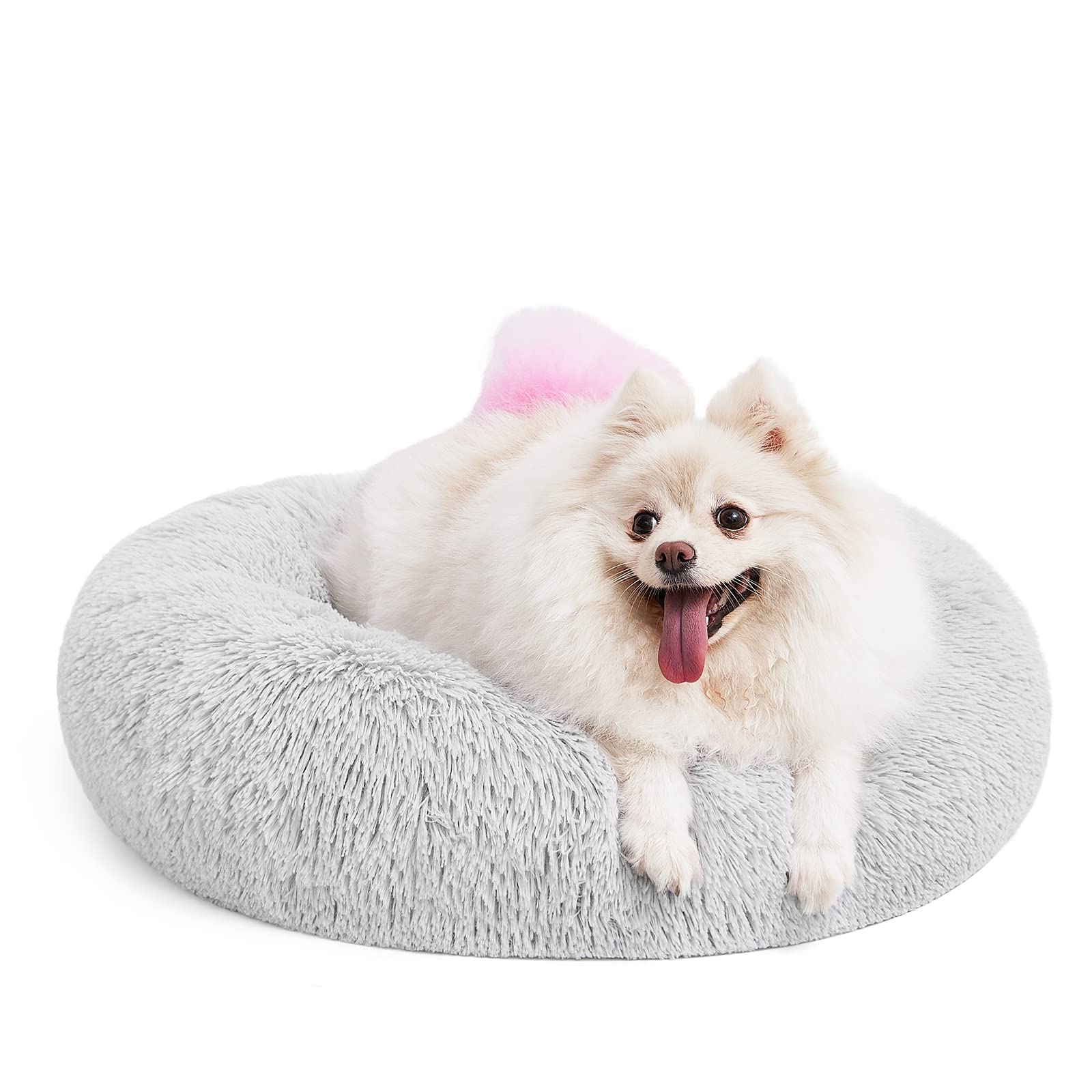 Cama MIXJOY ortopédica para perro redonda, soporte cómodo para descanso.