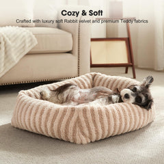 Cama MIXJOY para perros y gatos con funda lavable.