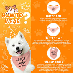 Bandana Mixrowa de lavado fácil para perro, lavable a máquina.