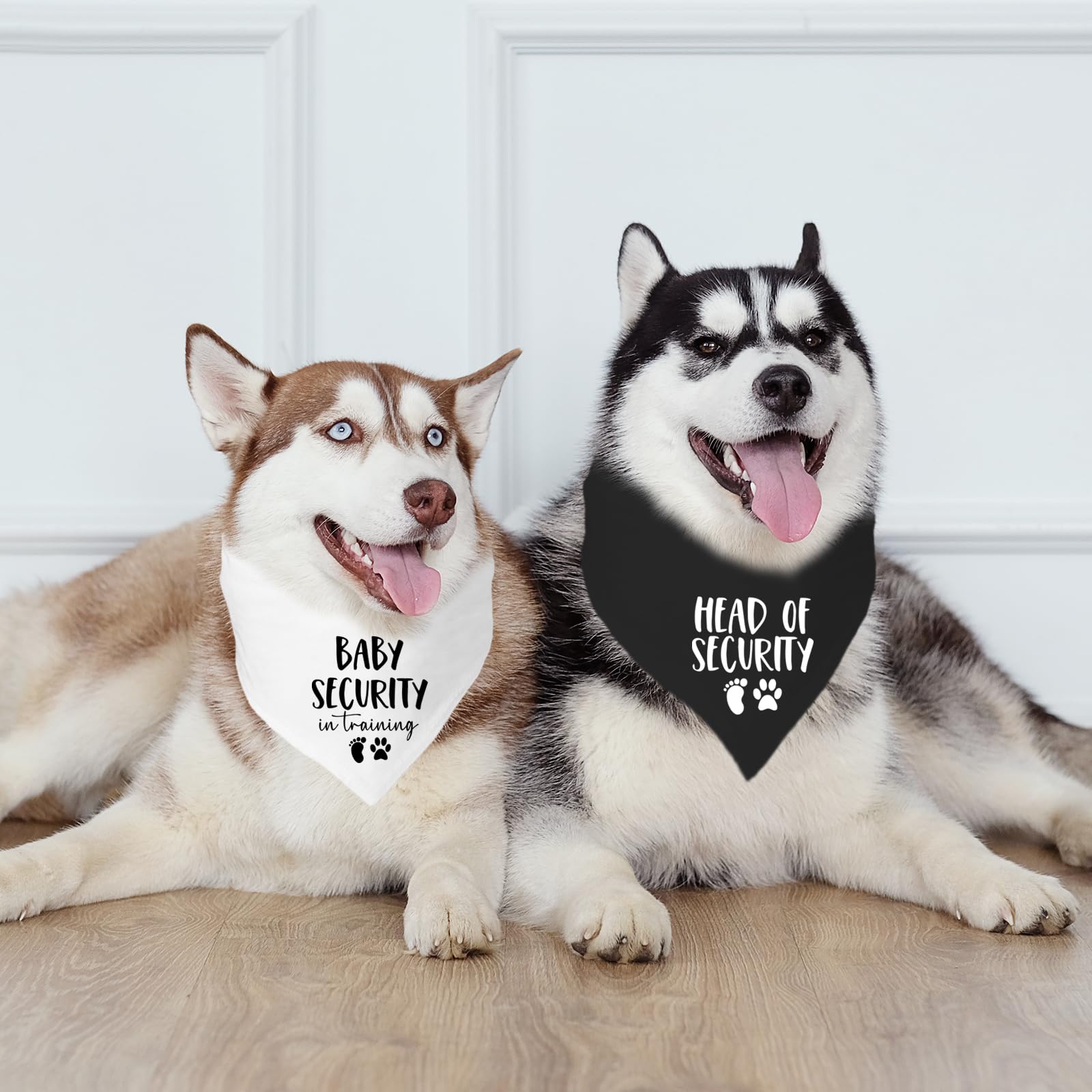 Bandana Mixrowa para perro: perfecto para boda o fiesta.