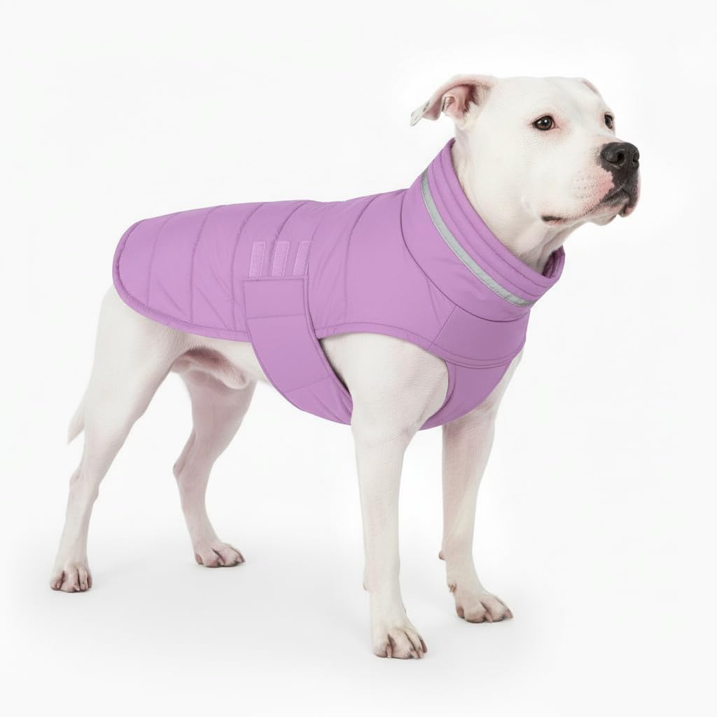 Abrigo Mklhgty impermeable para perro visto de frente, ideal para paseos con lluvia.