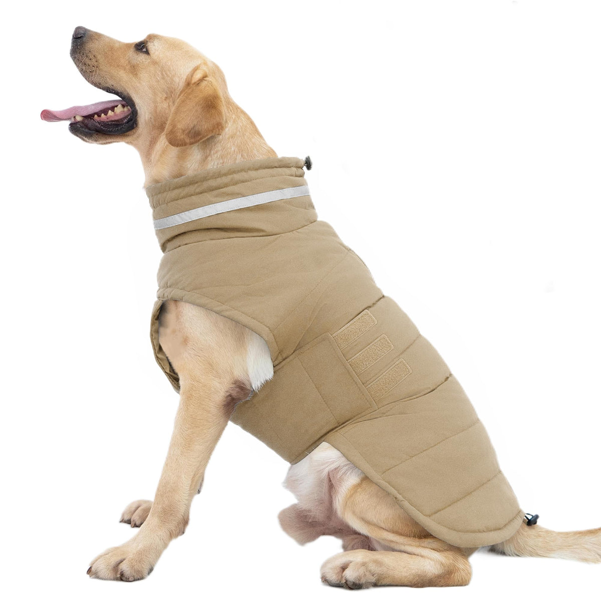 Abrigo impermeable Mklhgty para perro XL mantiene seco y cálido.