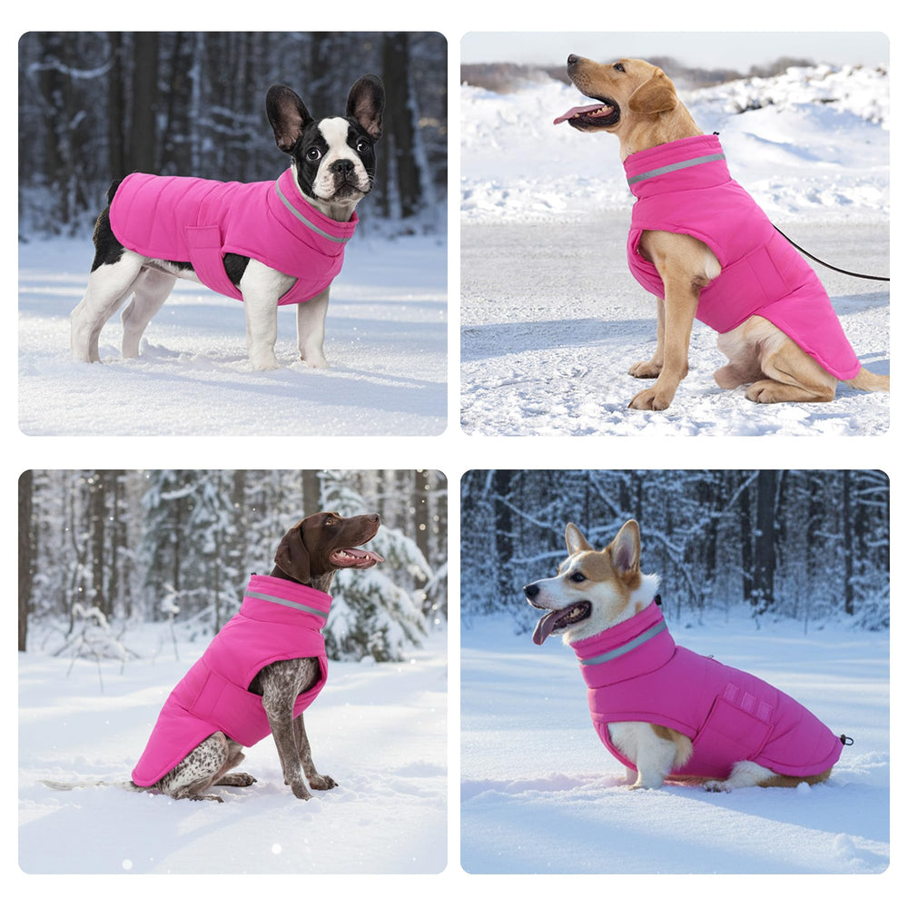 La capa-perro-diseño-elegante de Mklhgty añade estilo en salidas diarias.