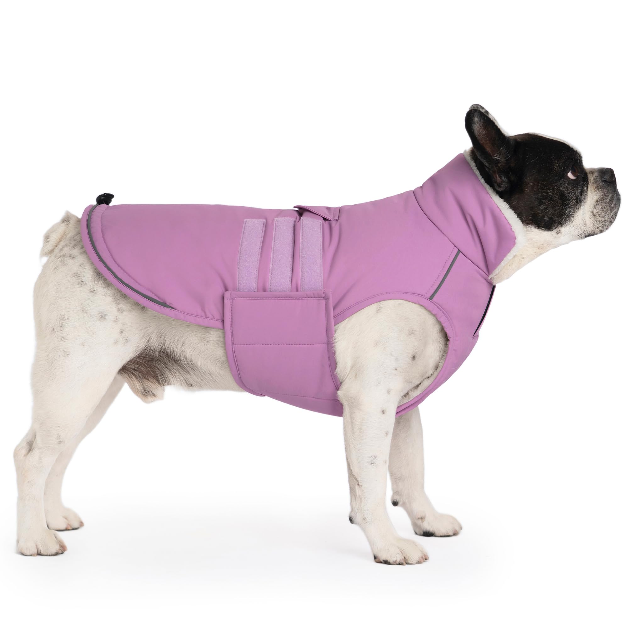Mklhgty Extrawarm perro capa-diseño-lila aporta estilo y calor