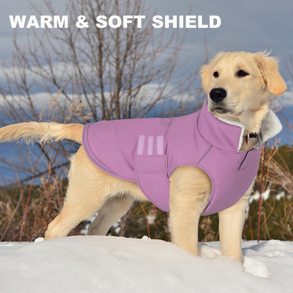 Mklhgty Extrawarm perro capa-paseo-invierno ideal para salidas diarias