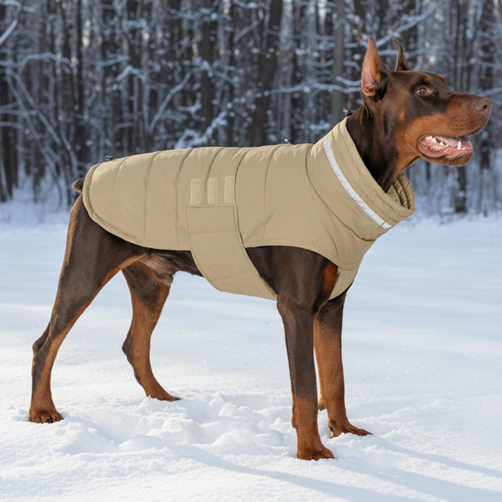 Disponible en tallas para perros grandes como Labrador y Golden Retriever.
