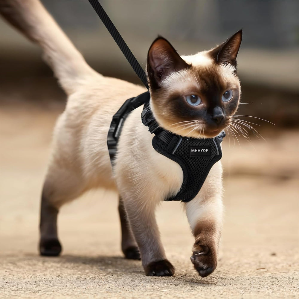 MHHYQF Arnés Gato – reflectante para visibilidad al anochecer.