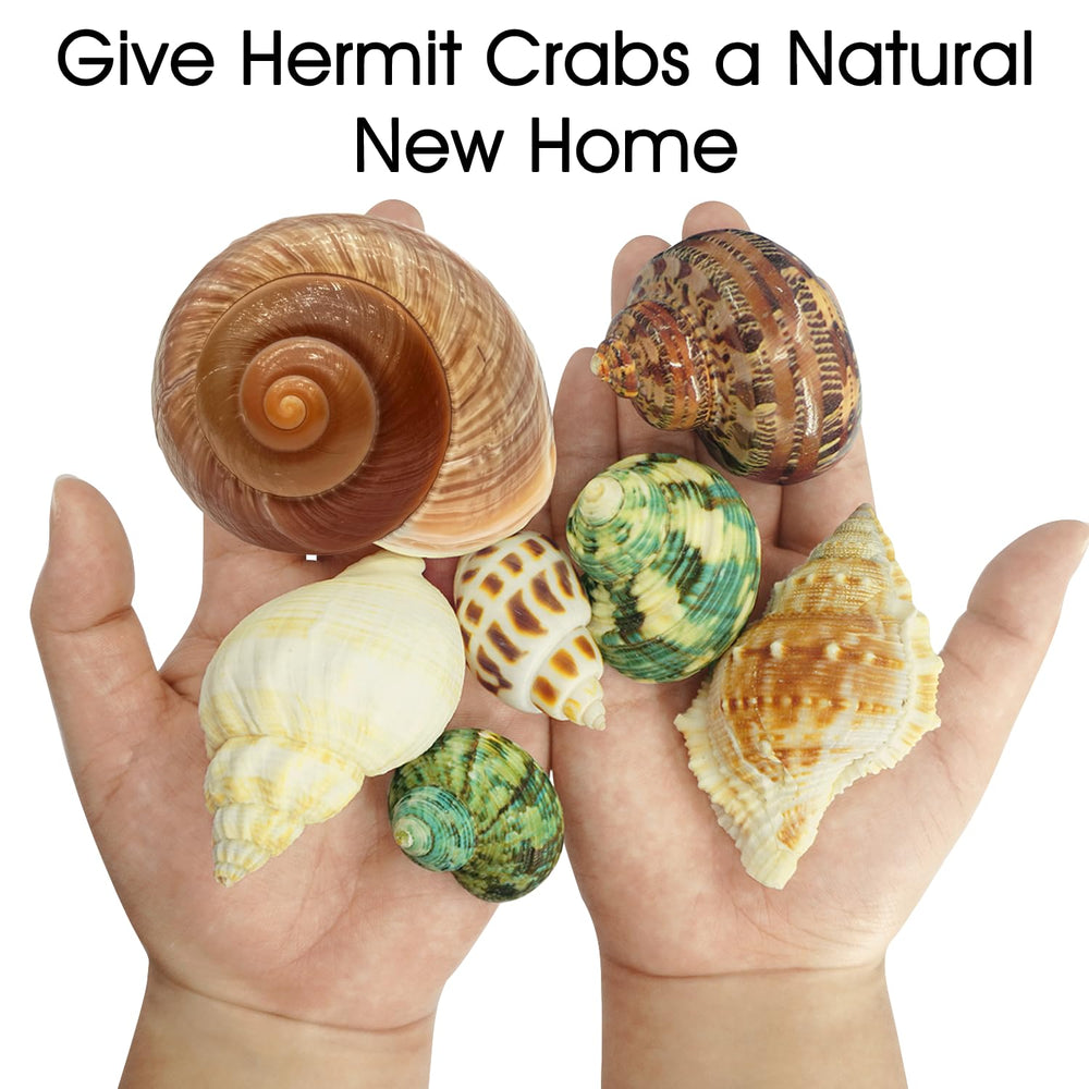 MOASIOP conchas para acuario, útiles para hábitat natural y paisajismo marino.