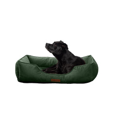 Modern Threads cama perro terciopelo verde bosque acolchada para descanso cómodo