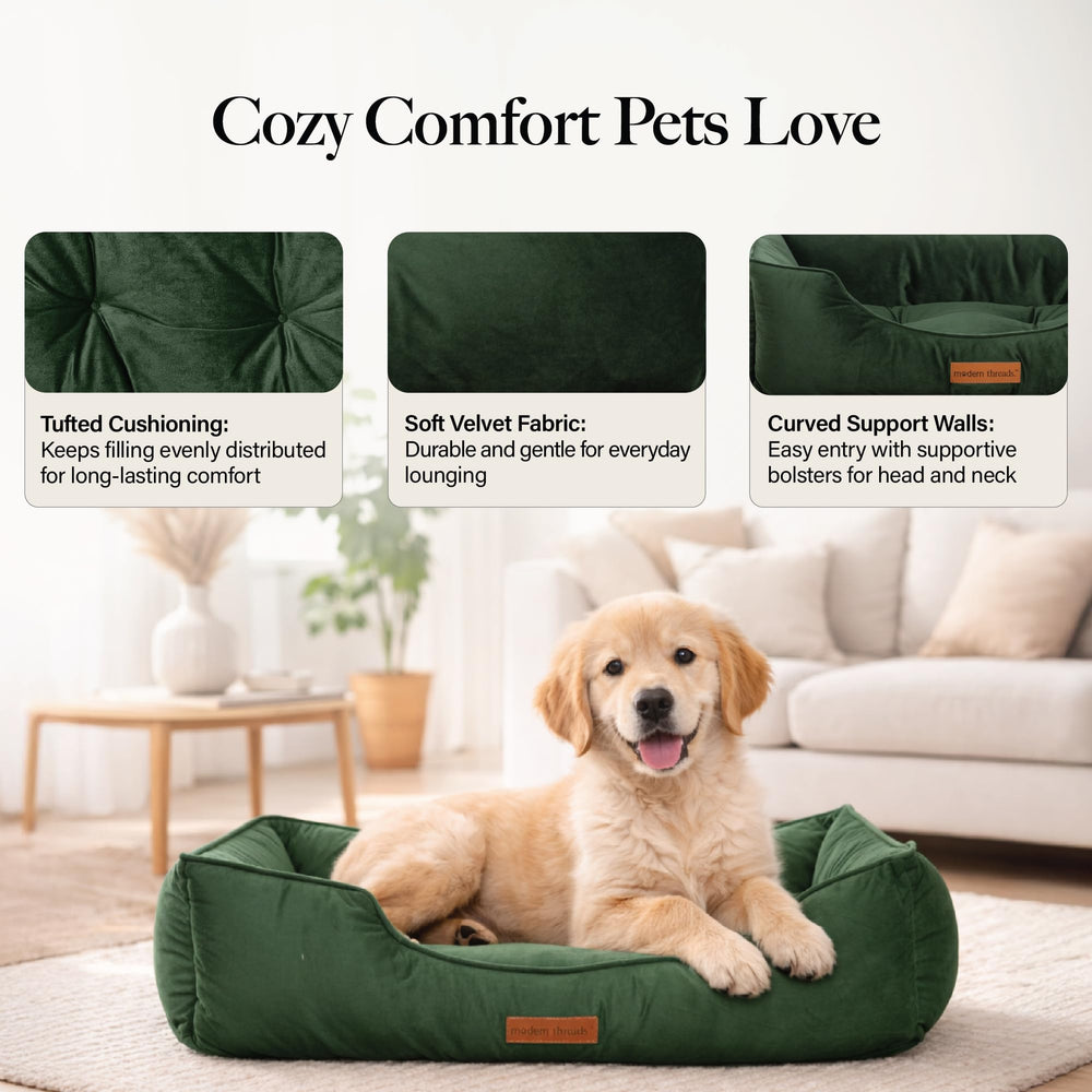 Modern Threads cama perro terciopelo verde bosque acolchado para seguridad