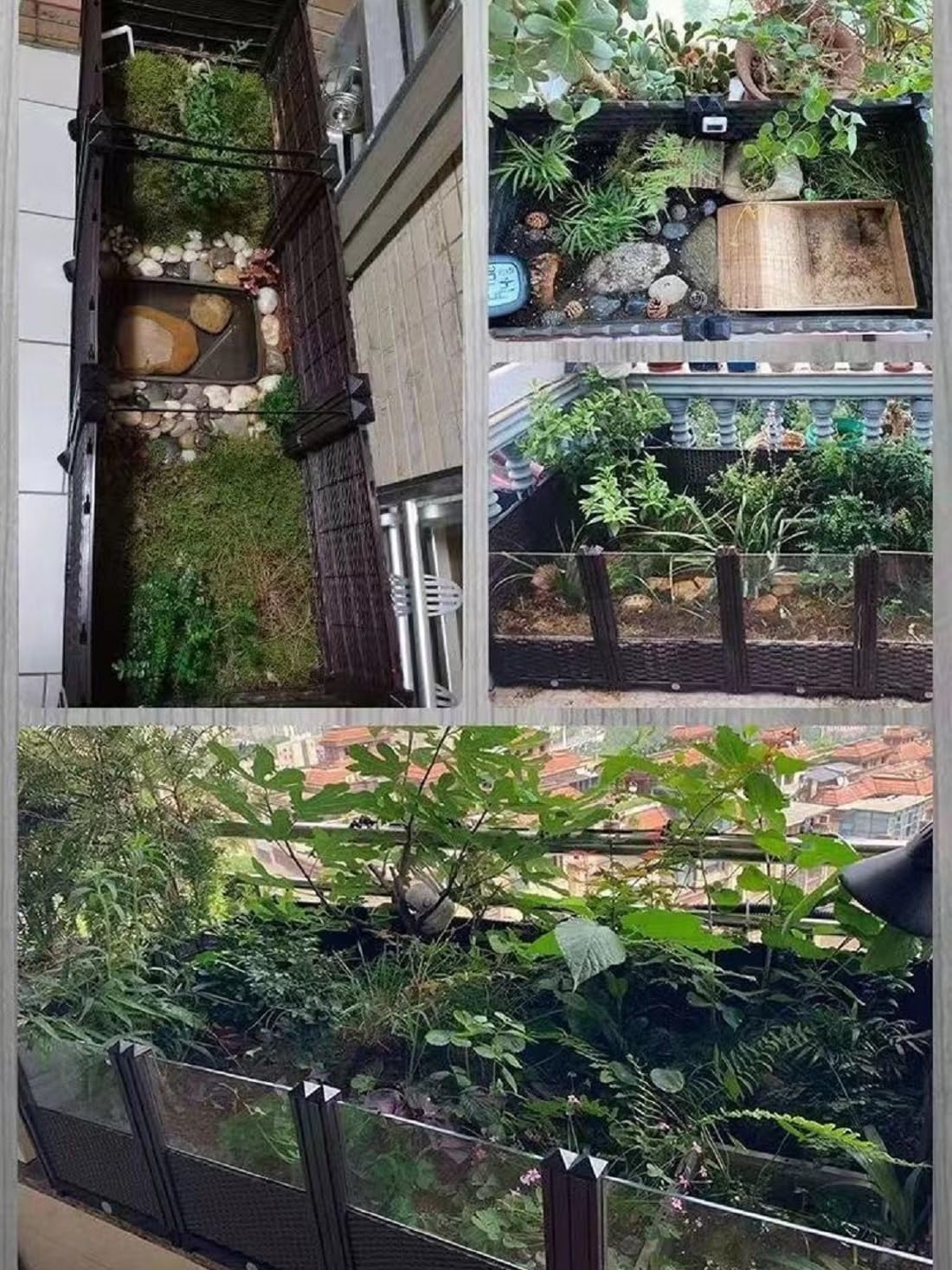 MOGUOBIN tortuga-habitat uso interior y exterior para adaptarse al clima.