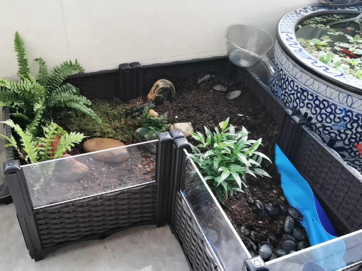 MOGUOBIN tortuga-habitat acceso a luz natural y buena ventilación.