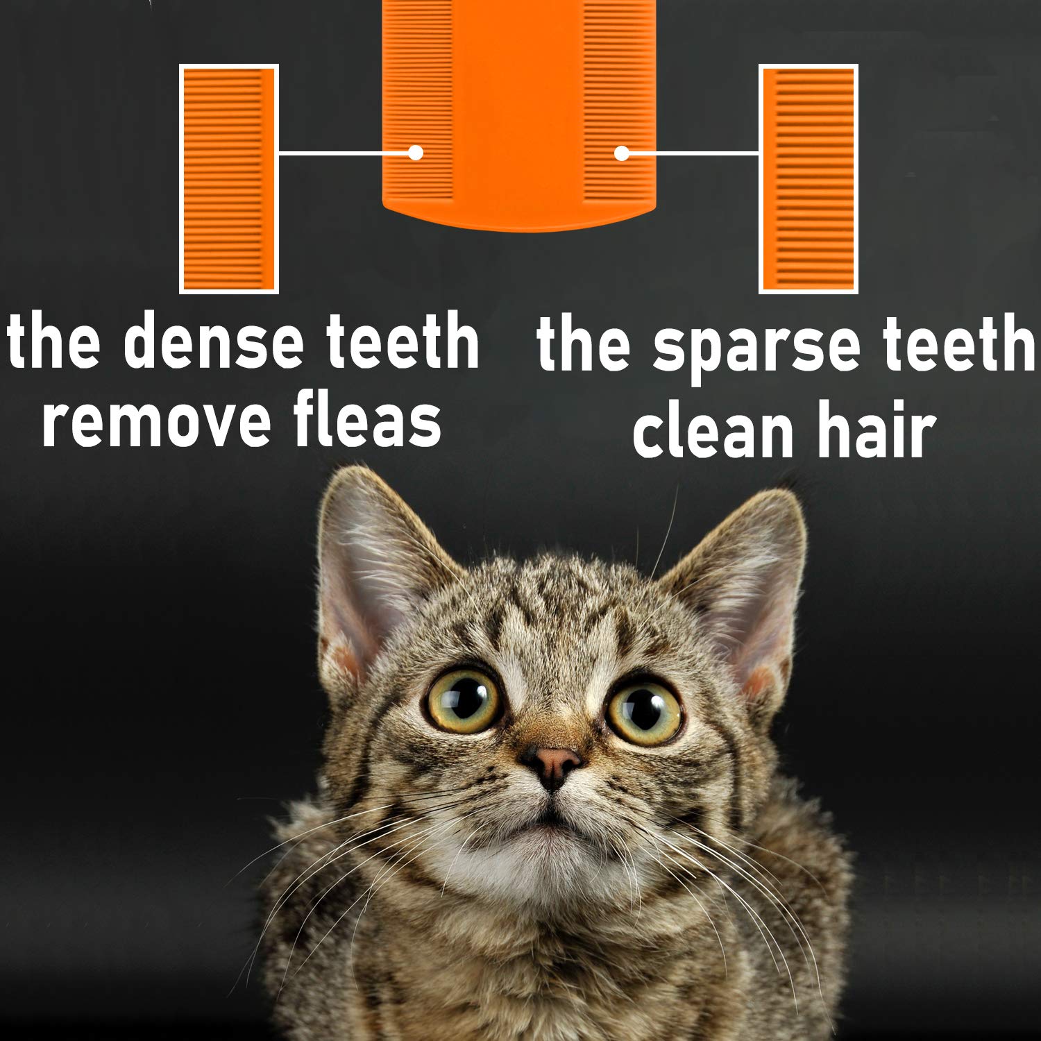 MoHern cepillo dientes densos para pelo corto de mascotas.