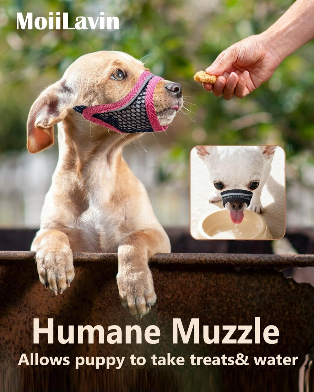 MoiiLavin bozal ligero para perros pequeños.