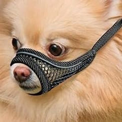 MoiiLavin bozal para perro pequeño con malla suave y excelente ventilación.