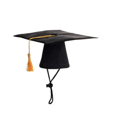 Gorro mollensiuer de graduación para mascota negro, perfecto para fotos.