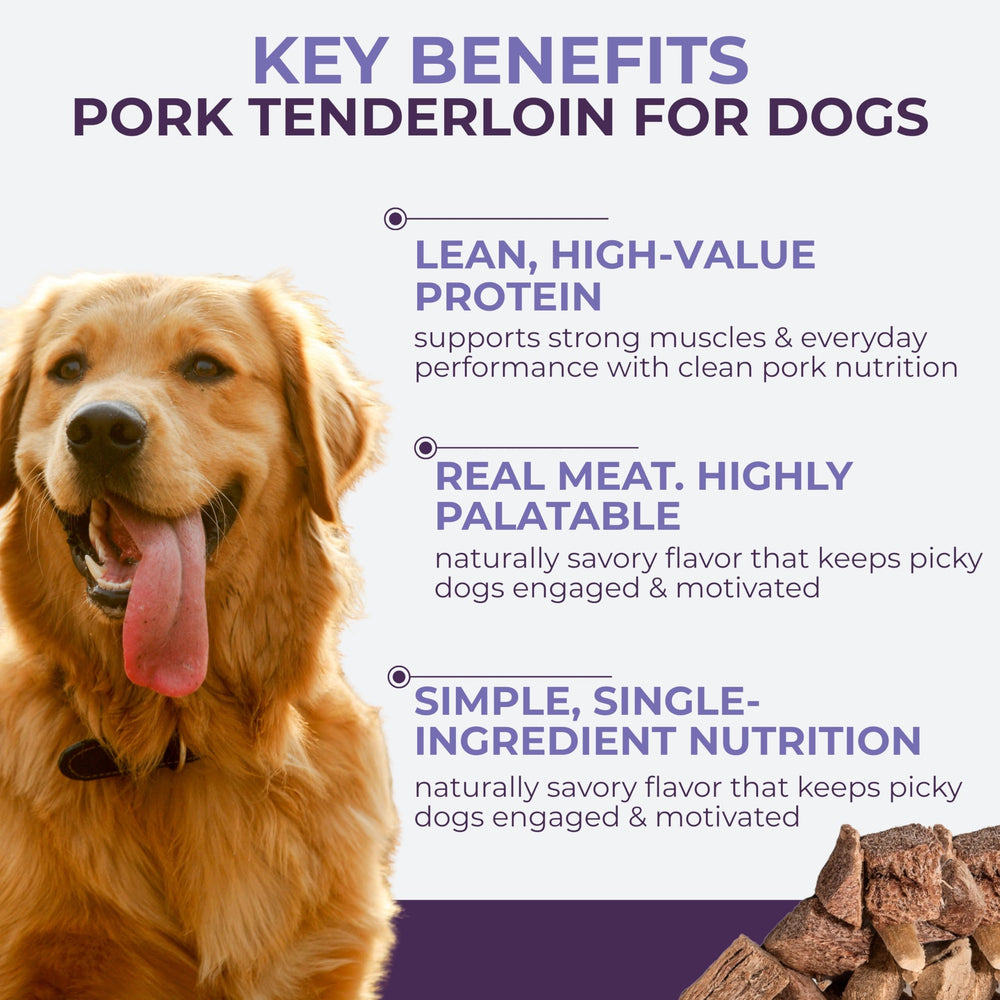 Momentum Carnivore Nutrition premios alta proteina para perros: premio de entrenamiento de alto valor