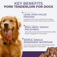 Momentum Carnivore Nutrition premios alta proteina para perros: premio de entrenamiento de alto valor