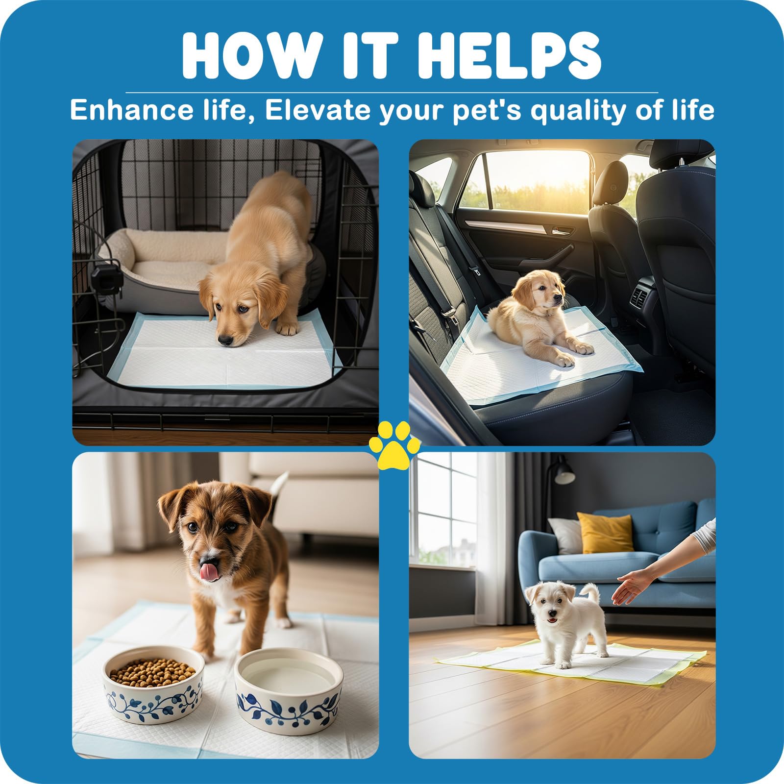 Para cachorros y perros mayores: MoMoCo para entrenamiento y apoyo diario