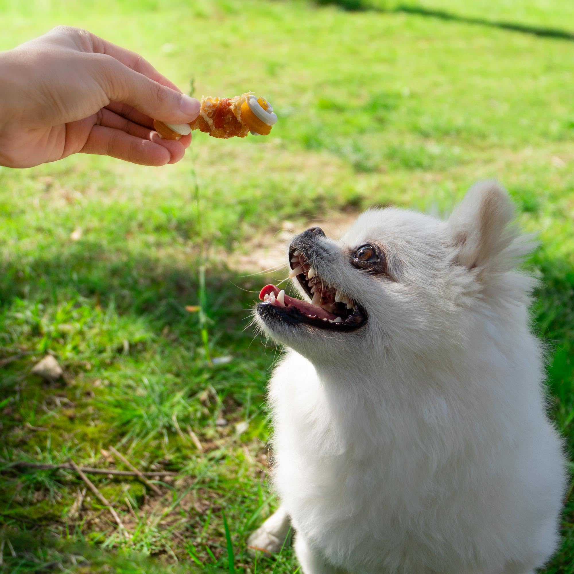 MON2SUN hueso envuelto en pollo, textura masticable ideal para perros pequeños.
