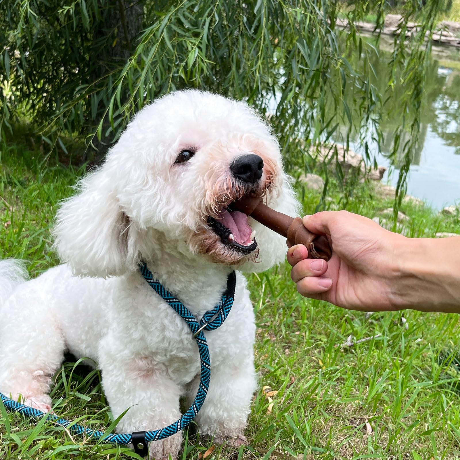 MON2SUN Huesos para perros con dieta equilibrada, sabor cacahuete y textura atractiva.