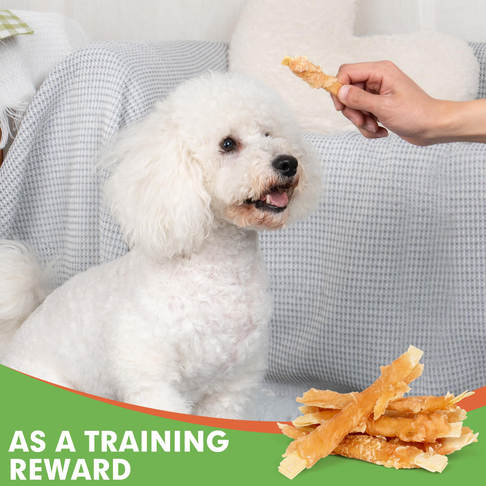 MON2SUN premios para entrenamiento, refuerza la relación con tu perro