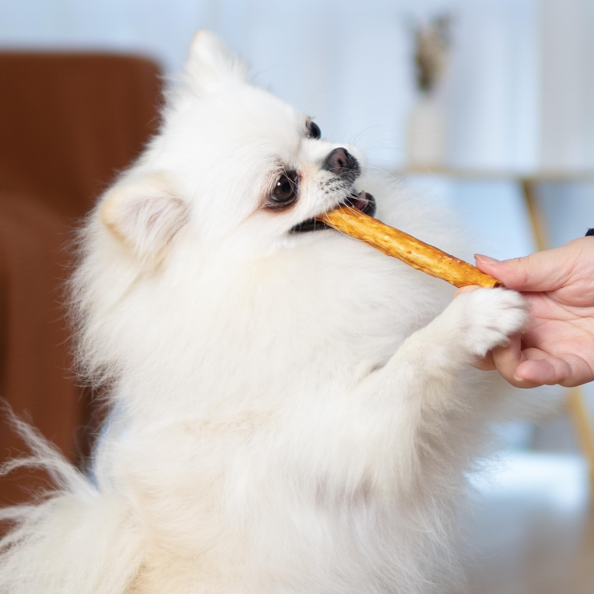 MON2SUN empaque de 15 piezas, snack diario para perros