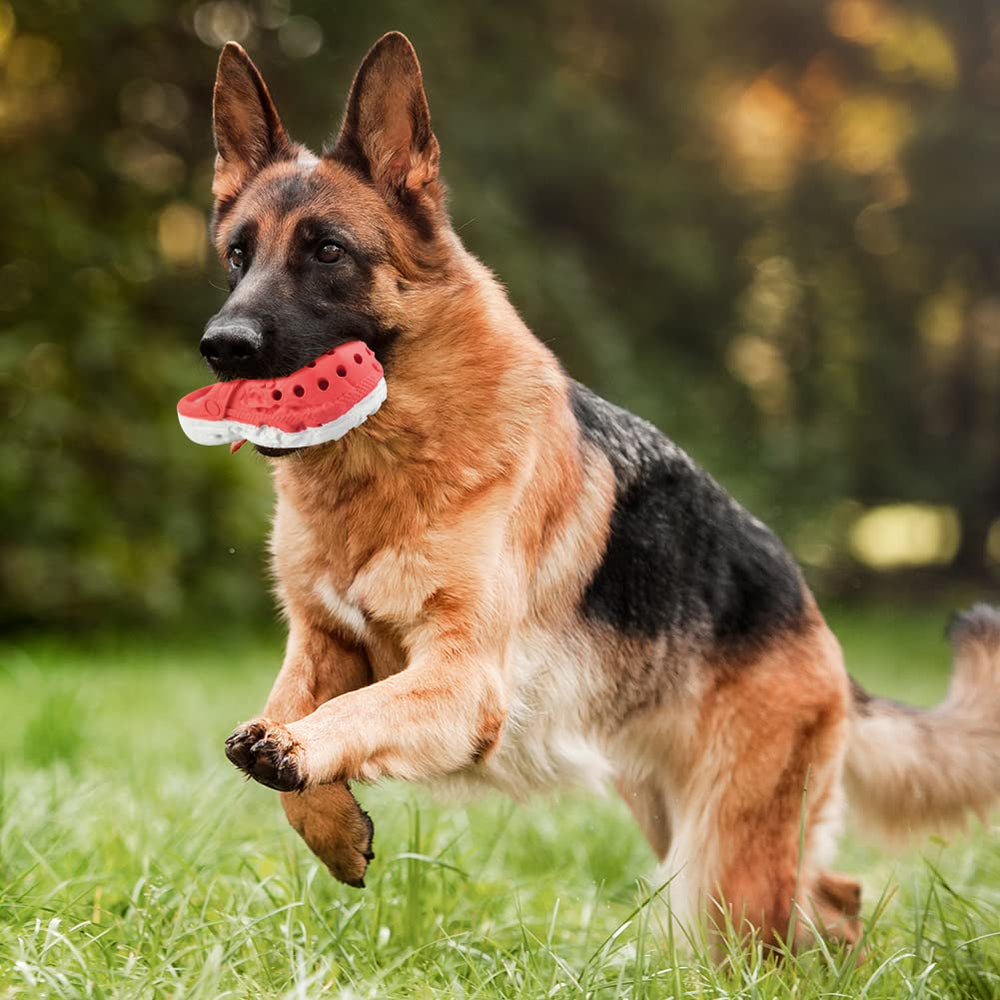MONDOTOY Juguete masticable para perros medianos y grandes.