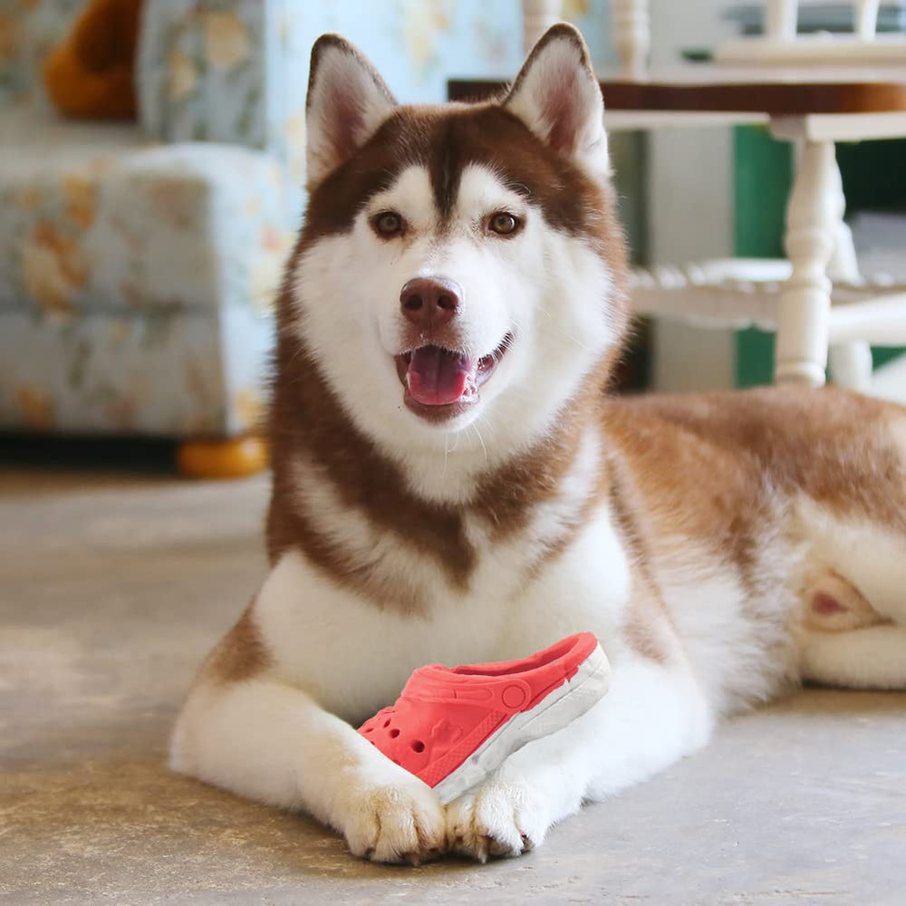 MONDOTOY Juguete relajante para perros ansiosos durante el juego.