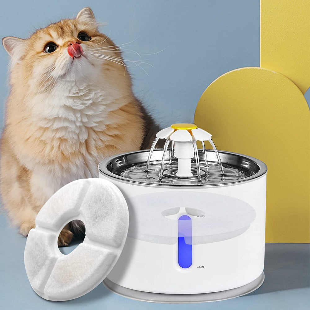 Uso diario de filtros Monsin en la fuente felina.