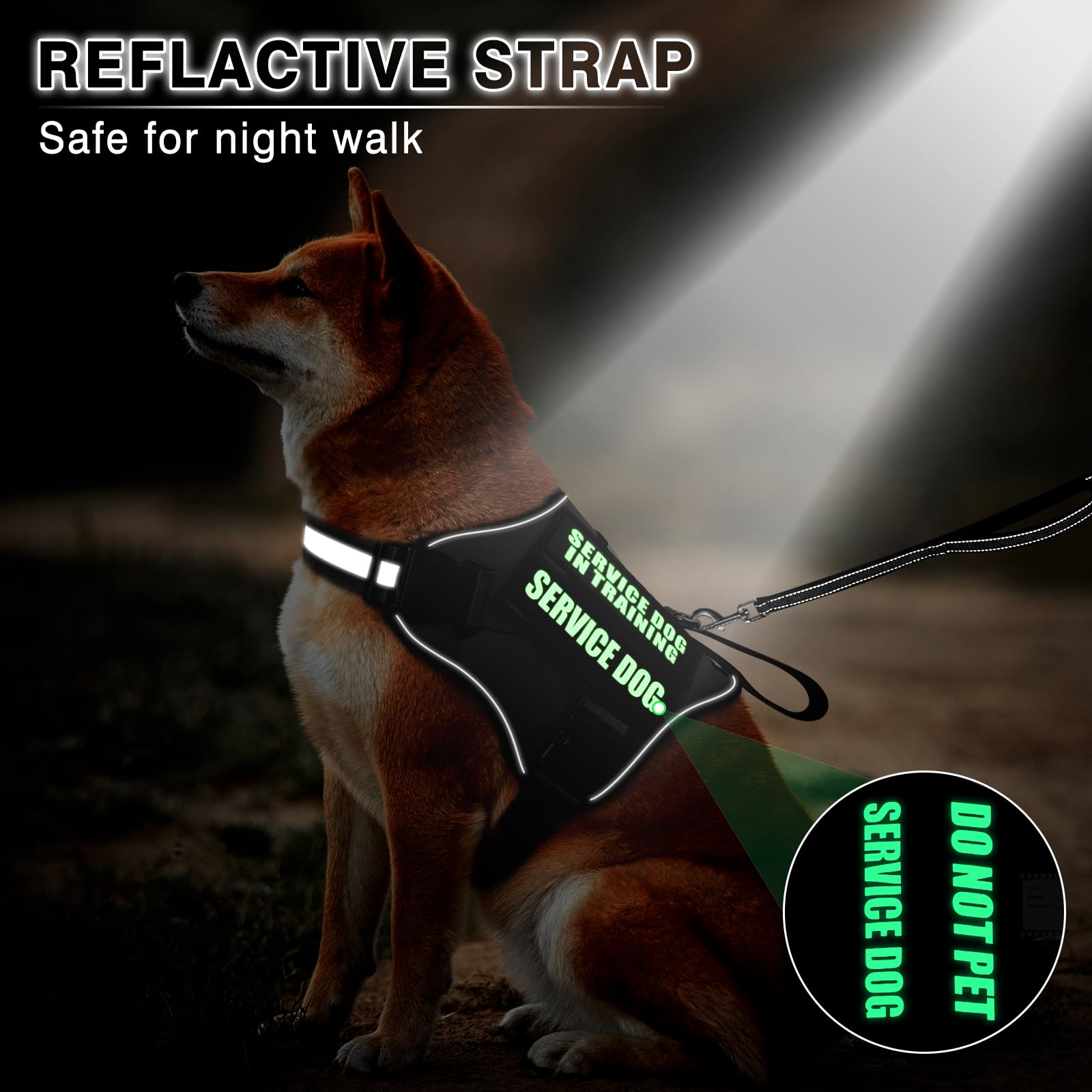 MOOGROU diseño reflectivo mejora la visibilidad nocturna al caminar.