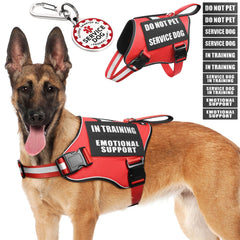 MOOGROU arnés de servicio para perro con ajuste cómodo y duradero.