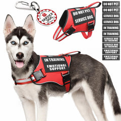 MOOGROU chaleco para perro de servicio con placa metálica, identificación clara y uso diario