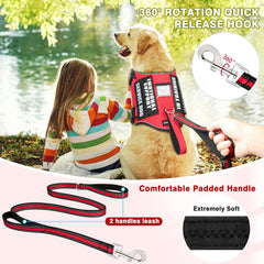 MOOGROU correa para perro de 5 pies, ideal para paseos controlados