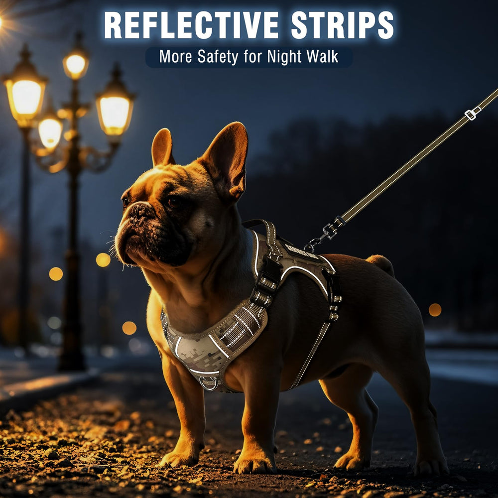 MOOGROU tiras reflectantes: mayor visibilidad en salidas nocturnas