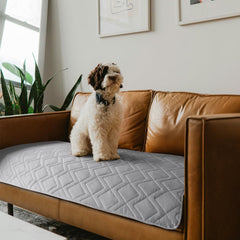 Moonsea cobertor impermeable para sofá con perro ofrece protección y limpieza rápida.