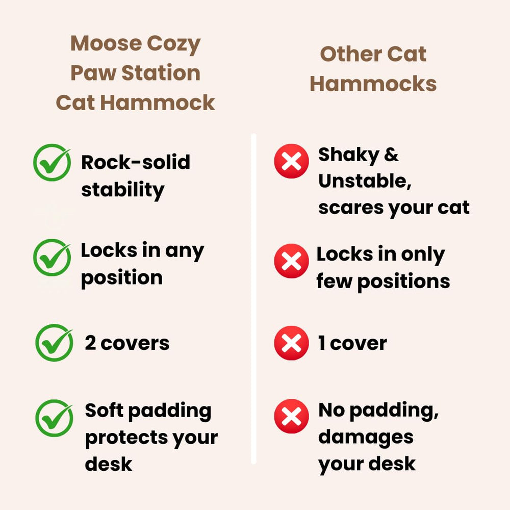 Moose Cozy: gato dormido cerca del área de trabajo sin invadir el espacio