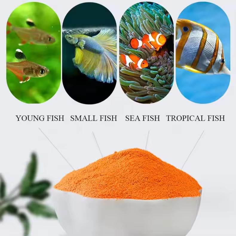 MorexLab Huevos Artemia Decapsulados Sin Eclosión, alimento natural para acuario