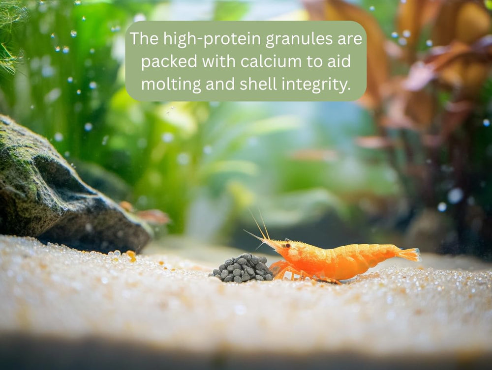 MorexLab nutrición equilibrada para camarones en acuario de agua dulce