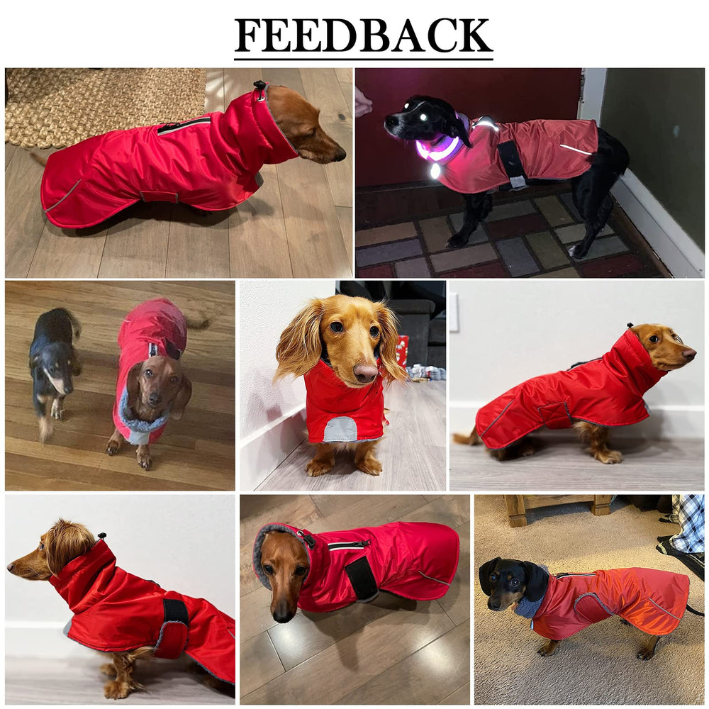 Morezi abrigo dachshund con banda reflectante para mayor visibilidad nocturna.