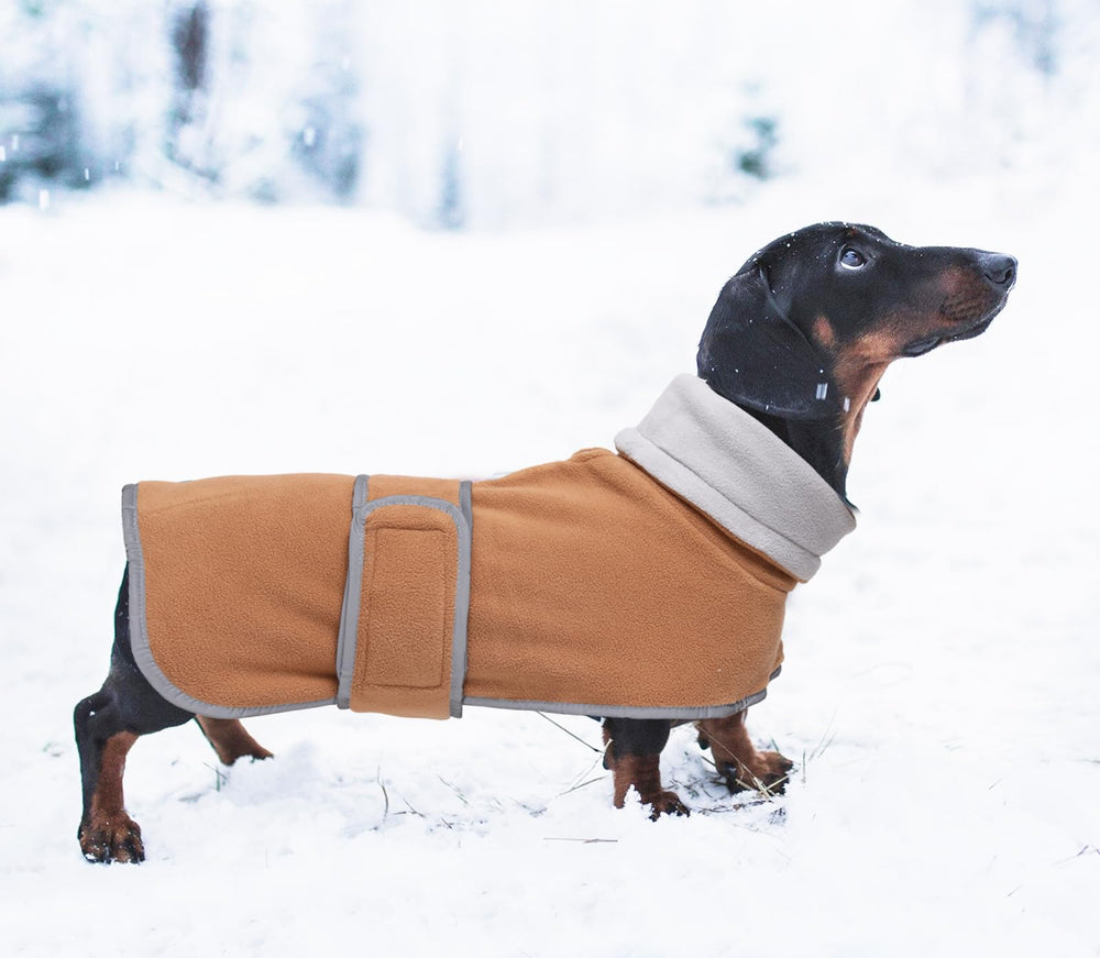 Morezi abrigo dachshund con forro felpa, comodidad diaria.