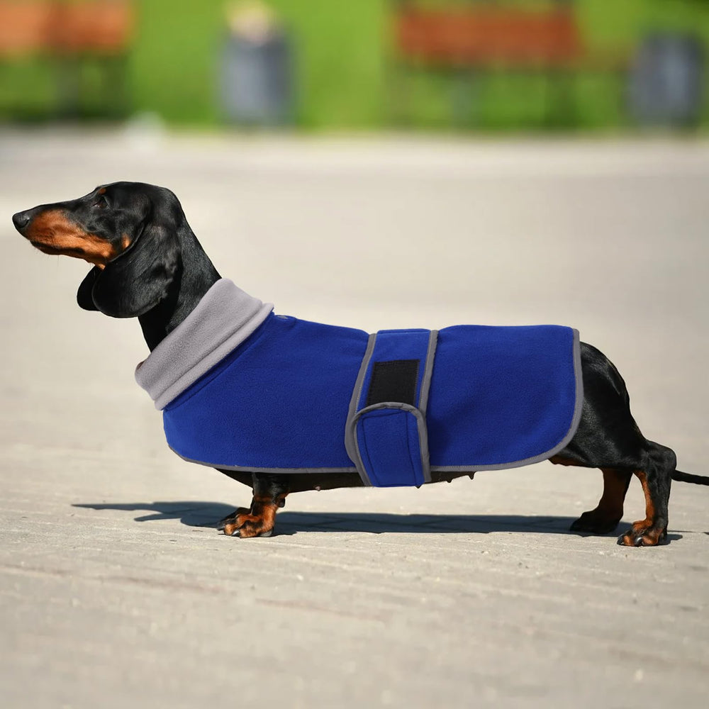 Morezi ajuste ligero dachshund: diseño cómodo para perros de espalda larga.