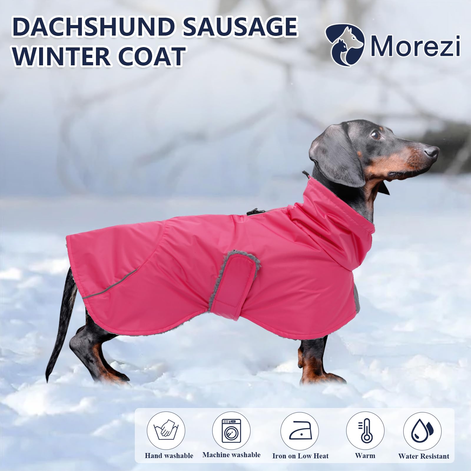 Capa Morezi para dachshund con ajuste de cuerpo y correas delanteras.